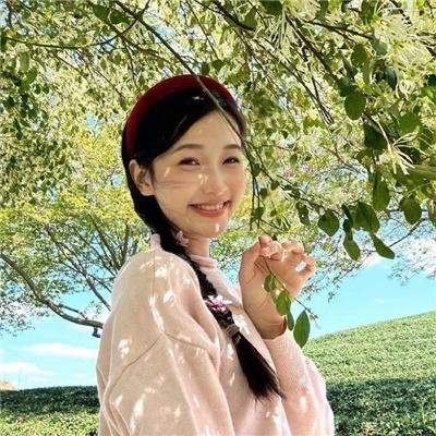 好莱坞队列